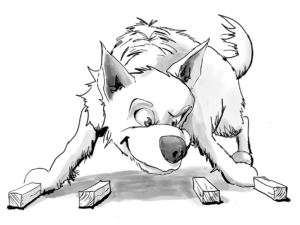 Vittringsapportering